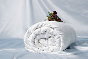 Шёлковое одеяло Comfort Premium Q0086A 200x220 Всесезонное