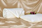 Шёлковое одеяло Comfort Premium Q0086A 200x220 Всесезонное