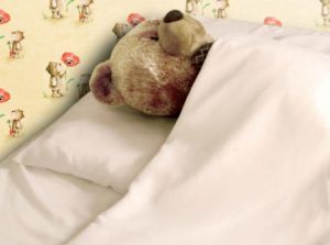 Шелковое детское одеяло Comfort Premium Q0044CH 110х140 Теплое